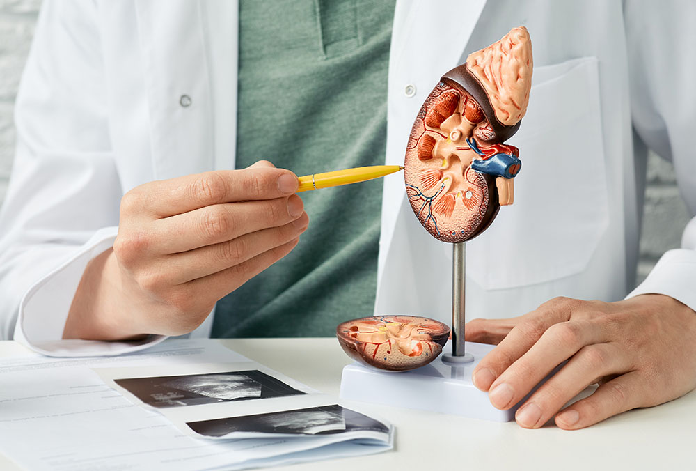 urologia cm medicum